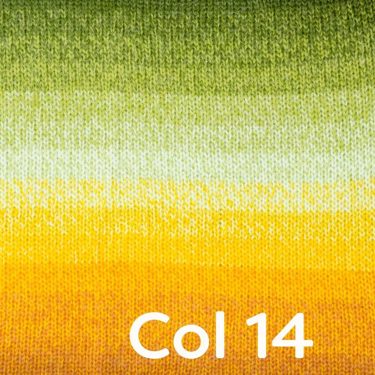 Vorschaubild 16